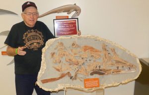 Bing Blewitt posing with the mosasaur nicknamed Bossie.