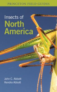 Insects of North America Book Cover