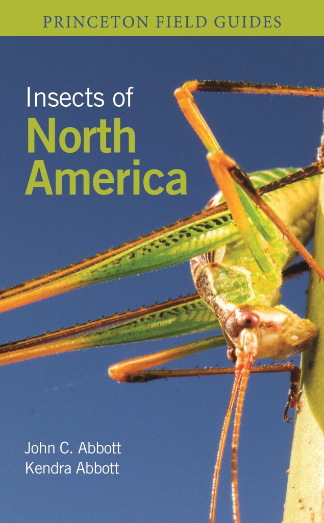 Insects of North America field guide cover