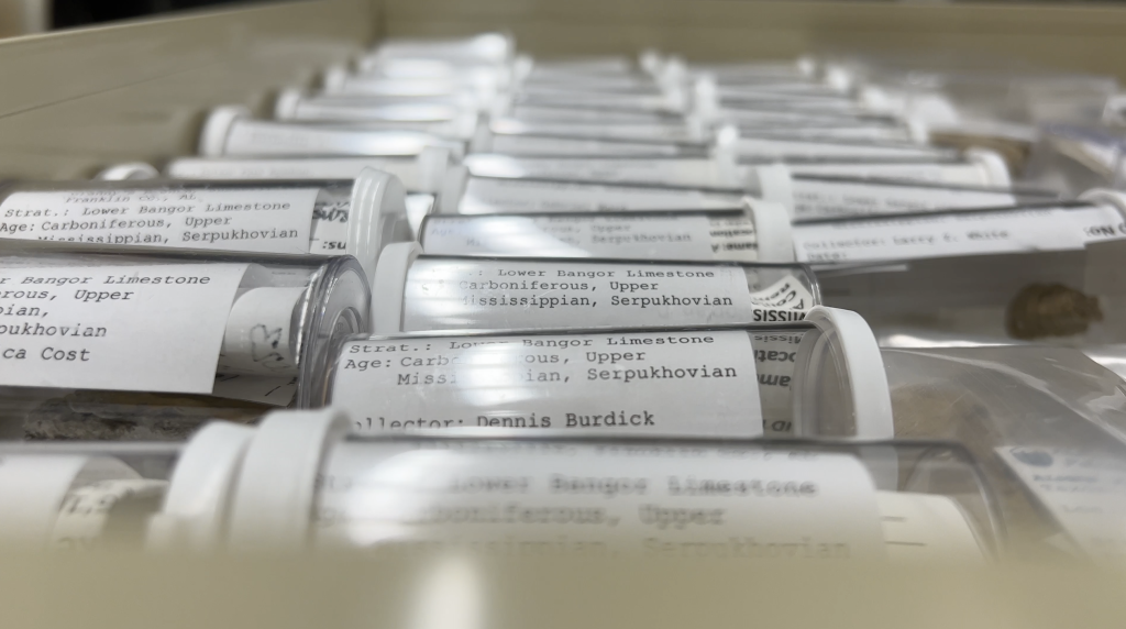 several rows of labeled sample containers