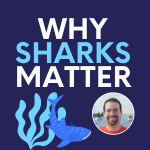 Why Sharks Matter lecture graphic