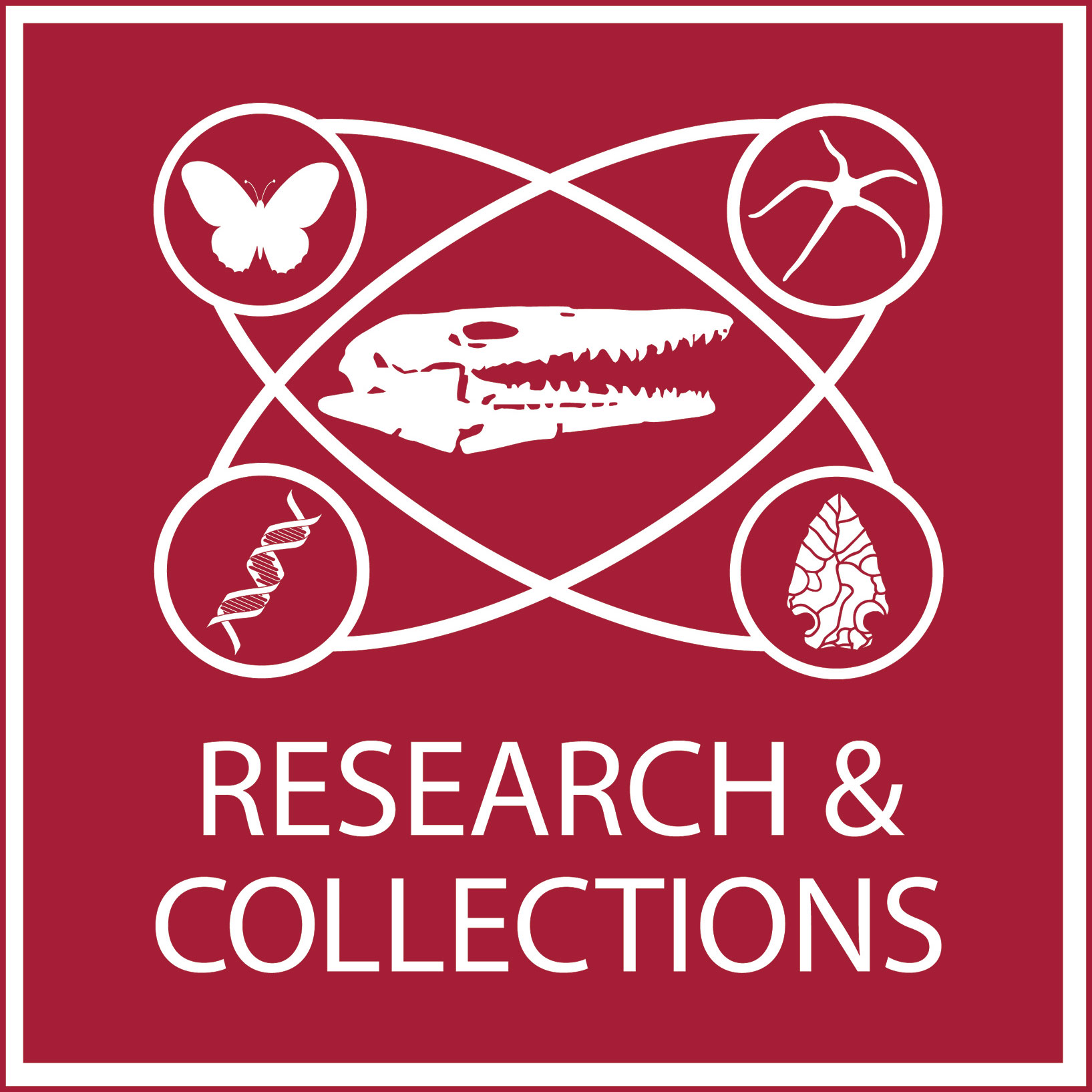 Museum Department of Research and Collections logo